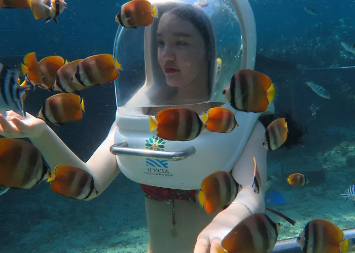 D'nusa Club And